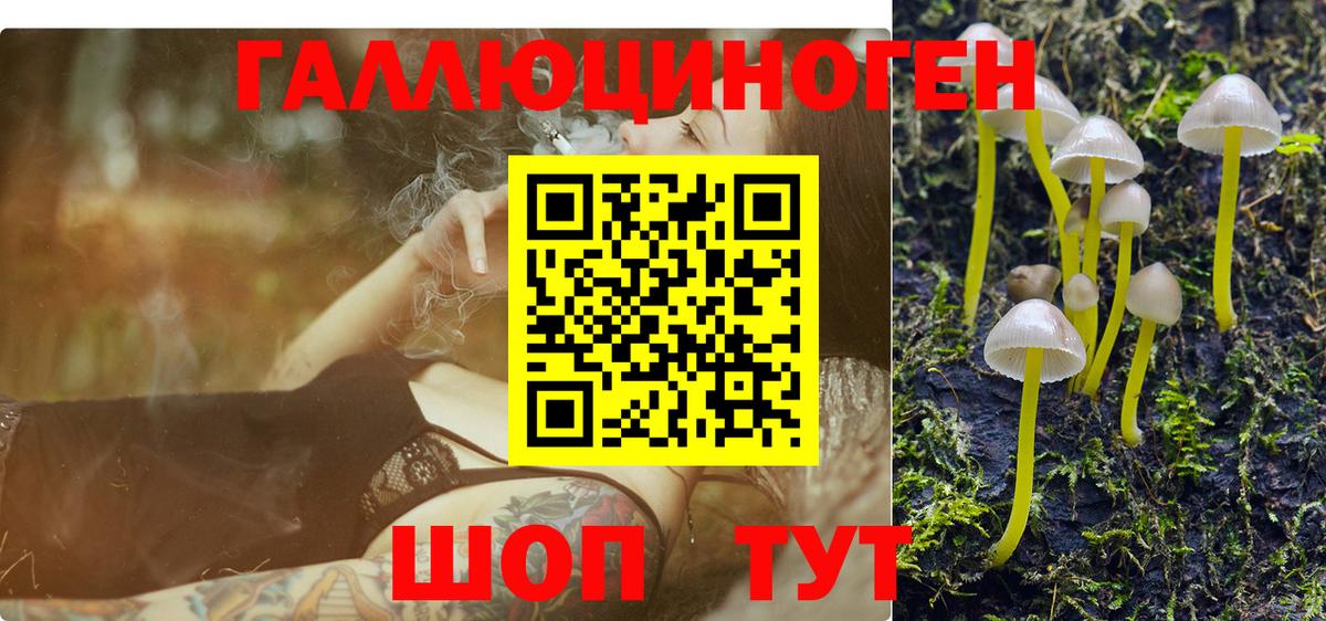 Псилоцибиновые грибы Psilocybine cubensis  Вход с VPN  цена   Елабуга  Псилоцибиновые грибы мицелий 