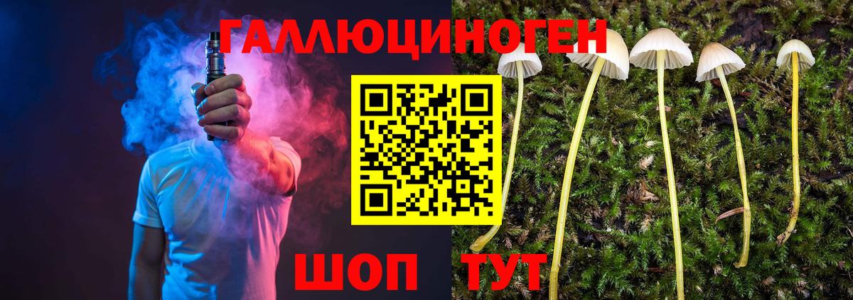 Галлюциногенные грибы мухоморы Елабуга